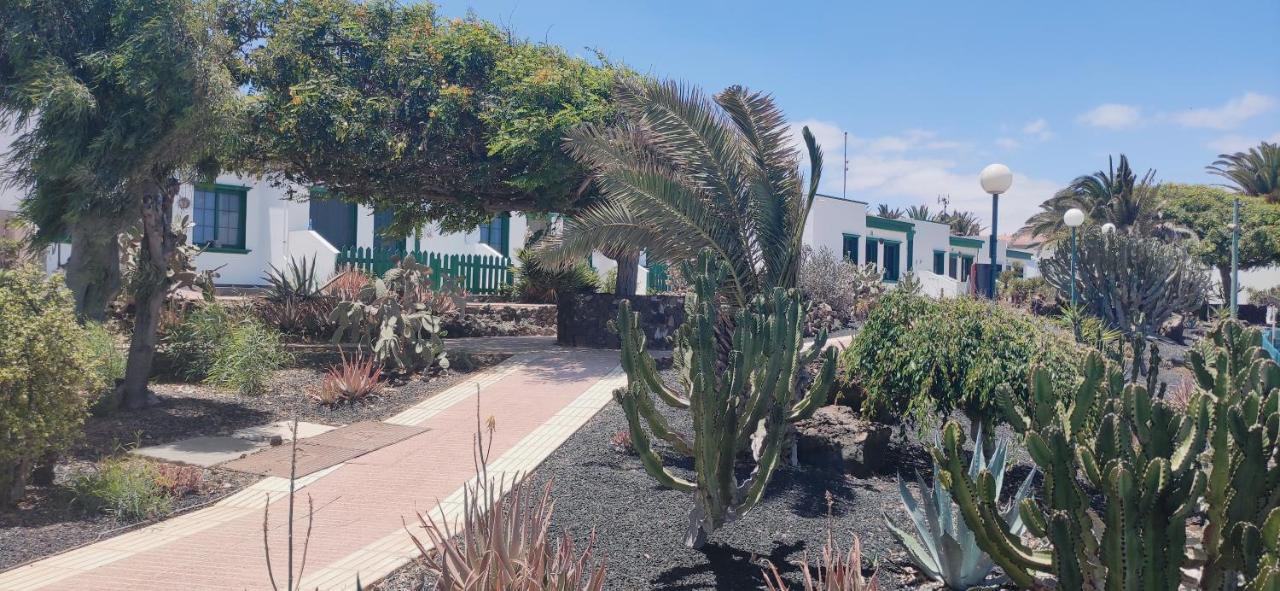 Casa Alice Cocosol Vila Costa De Antigua Exterior foto